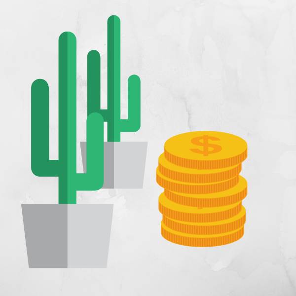 Illustration of two cactuses to the left and a stack of coins to the right.